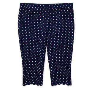 Talbots Chatham Polka Dot Crop Pants Navy High Waist Straight Leg Size 12
